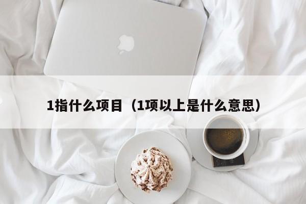 1指什么项目(1项以上是什么意思)