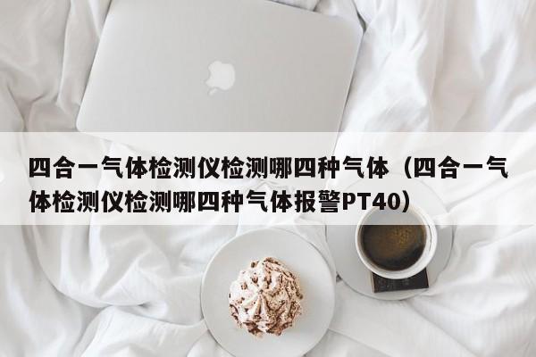 四合一气体检测仪检测哪四种气体(四合一气体检测仪检测哪四种气体报警PT40)