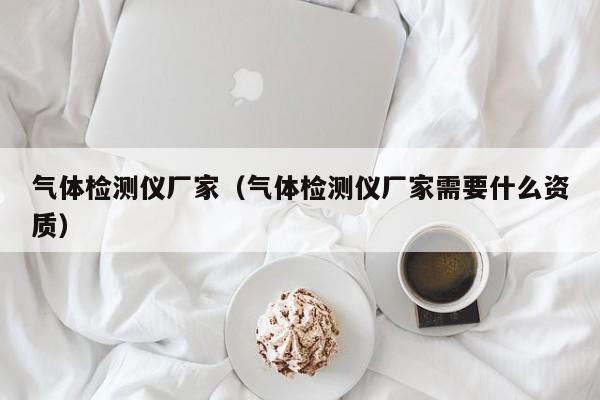 气体检测仪厂家(气体检测仪厂家需要什么资质)
