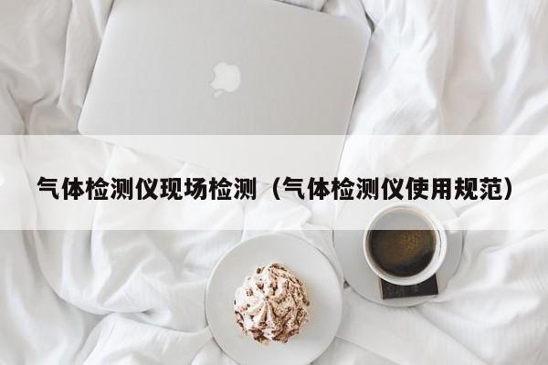 气体检测仪现场检测(气体检测仪使用规范)
