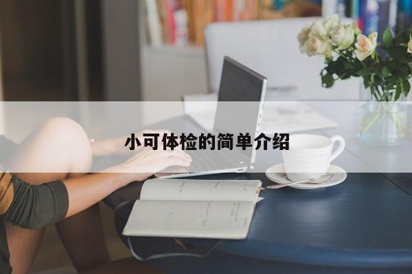 小可体检的简单介绍