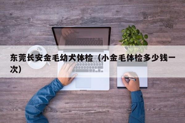 东莞长安金毛幼犬体检(小金毛体检多少钱一次)