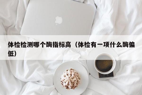 体检检测哪个酶指标高(体检有一项什么酶偏低)
