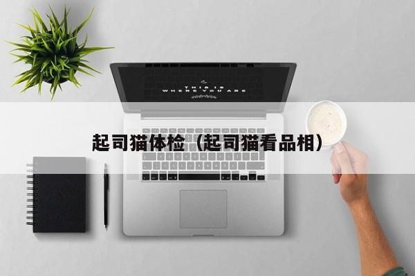 起司猫体检(起司猫看品相)