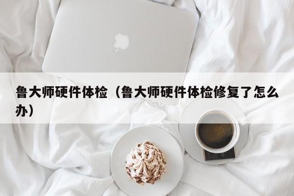 鲁大师硬件体检(鲁大师硬件体检修复了怎么办)