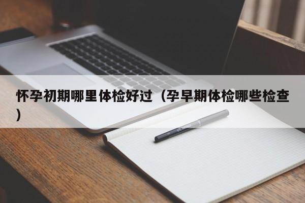 怀孕初期哪里体检好过(孕早期体检哪些检查)