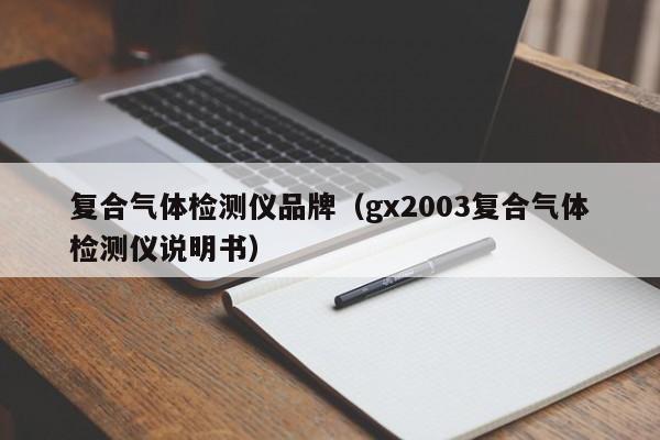 复合气体检测仪品牌(gx2003复合气体检测仪说明书)